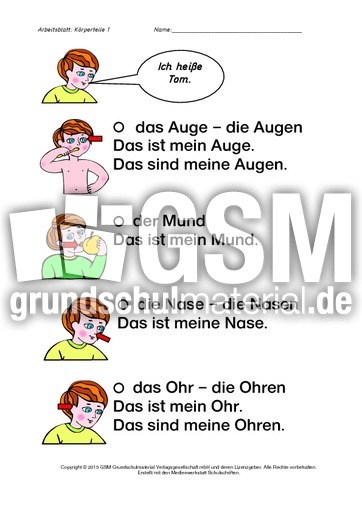DAZ-Deutsch-lernen-mit-Tom-Körper-B.pdf